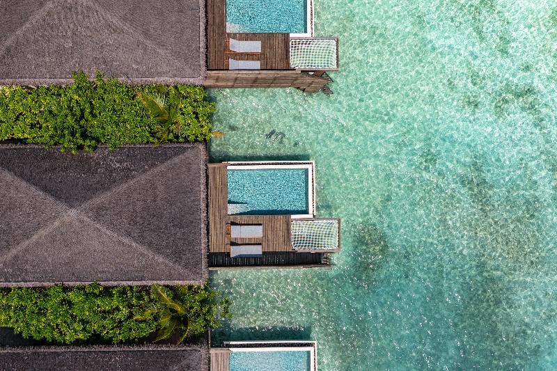 dusitD2 Feydhoo Maldives - Genel