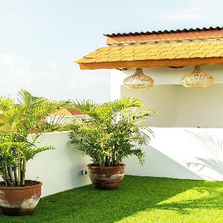 Coco & Pineapple Pants Hostel By Zuzu fotoÄŸrafÄ±