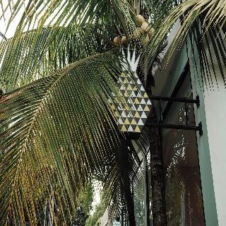 Coco & Pineapple Pants Hostel By Zuzu fotoÄŸrafÄ±