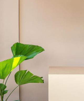 Coco & Pineapple Pants Hostel By Zuzu fotoÄŸrafÄ±