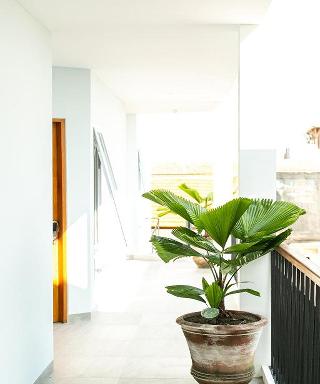 Coco & Pineapple Pants Hostel By Zuzu fotoÄŸrafÄ±