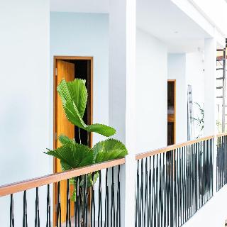 Coco & Pineapple Pants Hostel By Zuzu fotoÄŸrafÄ±