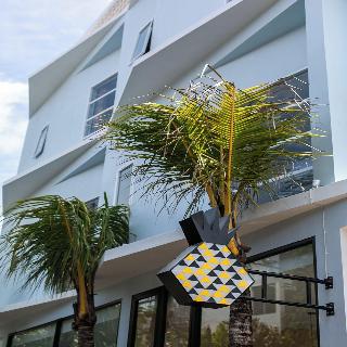 Coco & Pineapple Pants Hostel By Zuzu fotoÄŸrafÄ±