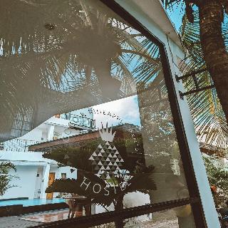 Coco & Pineapple Pants Hostel By Zuzu fotoÄŸrafÄ±