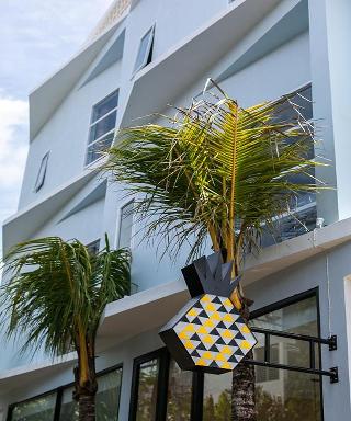 Coco & Pineapple Pants Hostel By Zuzu fotoÄŸrafÄ±