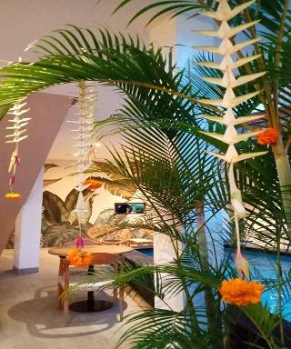 Coco & Pineapple Pants Hostel By Zuzu fotoÄŸrafÄ±