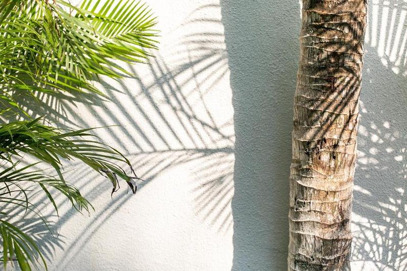 Coco & Pineapple Pants Hostel By Zuzu - Genel