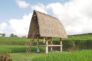 Swaha Retreat & Eco Park Ubud By Zuzu otel fotoğrafı