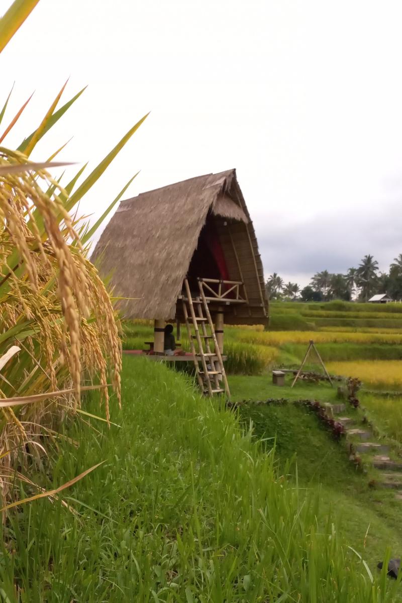 Swaha Retreat & Eco Park Ubud By Zuzu - Genel