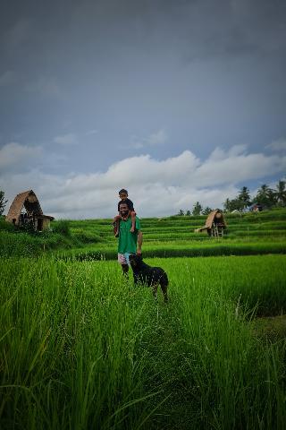 Swaha Retreat & Eco Park Ubud By Zuzu fotoÄŸrafÄ±