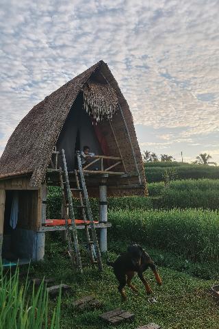 Swaha Retreat & Eco Park Ubud By Zuzu fotoÄŸrafÄ±