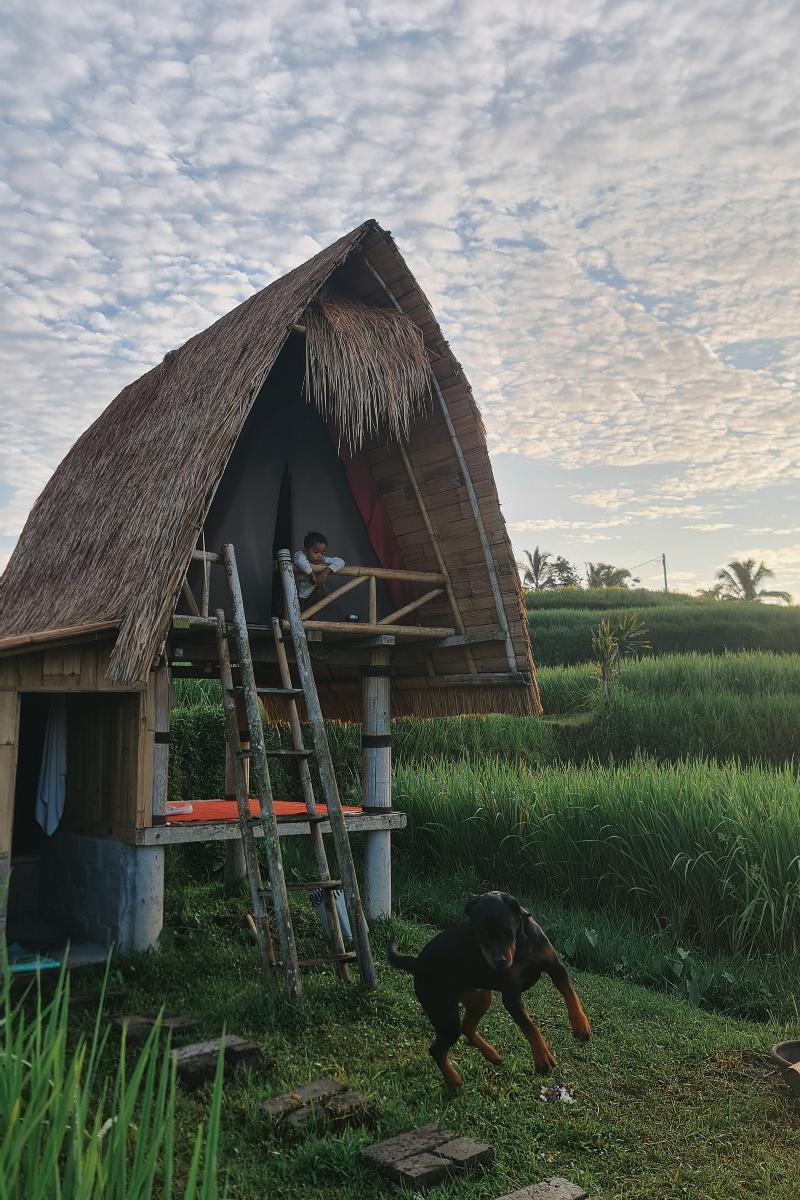 Swaha Retreat & Eco Park Ubud By Zuzu - Genel