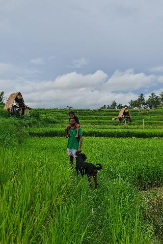 Swaha Retreat & Eco Park Ubud By Zuzu fotoÄŸrafÄ±
