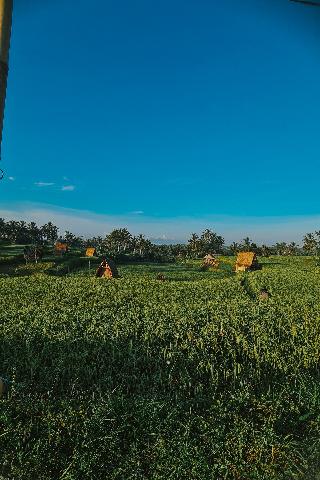 Swaha Retreat & Eco Park Ubud By Zuzu fotoÄŸrafÄ±