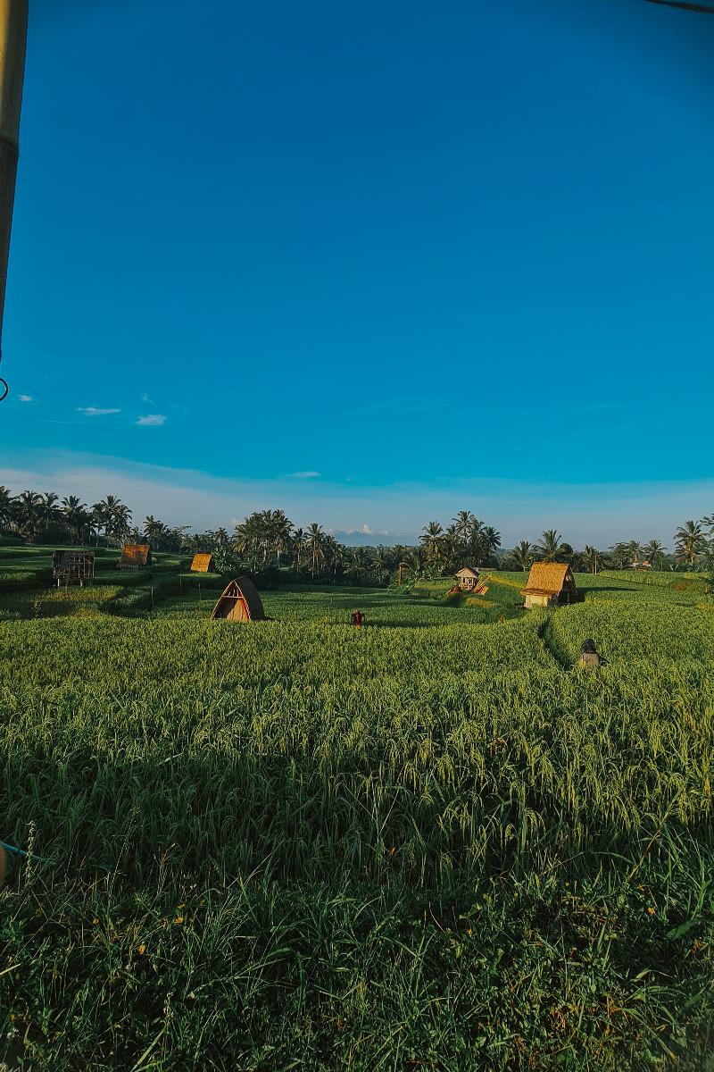 Swaha Retreat & Eco Park Ubud By Zuzu - Genel