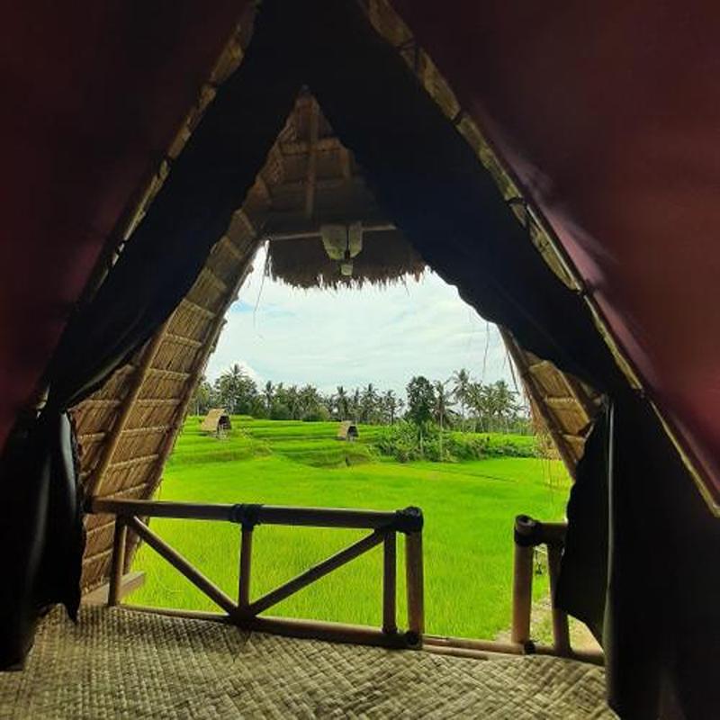 Swaha Retreat & Eco Park Ubud By Zuzu - Oda