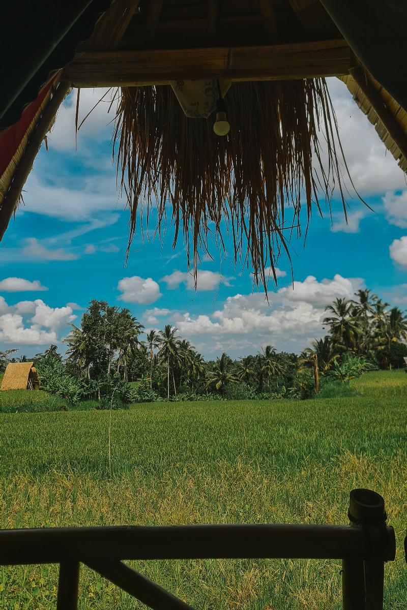 Swaha Retreat & Eco Park Ubud By Zuzu - Oda