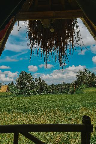 Swaha Retreat & Eco Park Ubud By Zuzu fotoÄŸrafÄ±