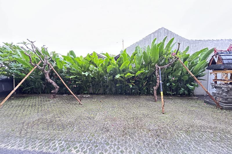Sekar Tunjung Guest House Seminyak Bali - Genel