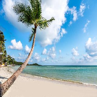 Beyond Samui fotoÄŸrafÄ±