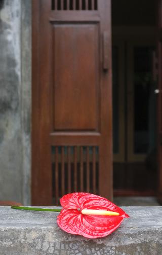 Pakasai Resort fotoÄŸrafÄ±