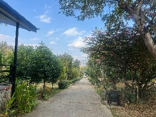 Pai Hillside Resort By Zuzu fotoÄŸrafÄ±