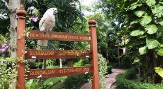 Pinnacle Samui Resort fotoÄŸrafÄ±