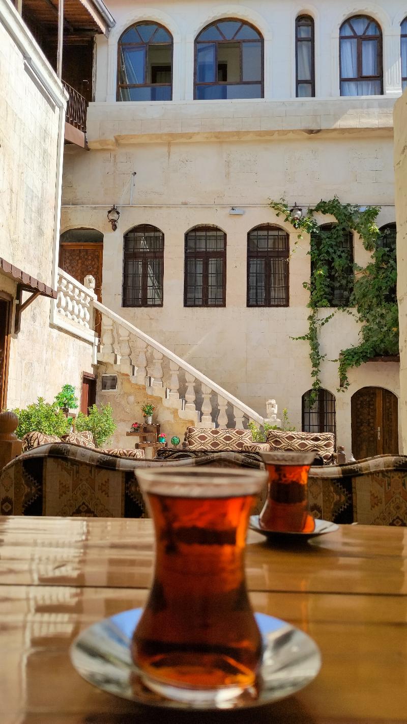 Aslan Konuk Evi - Genel