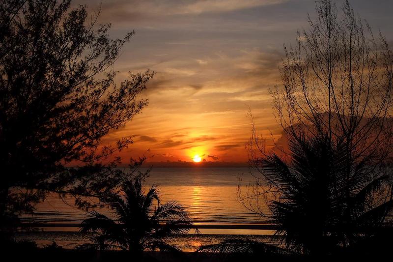 Surf & Sand Resort - Genel