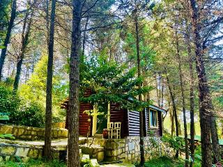 Agva Orman Evleri̇ Forest Lodge