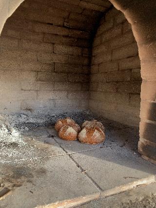 Masseria San Paolo Grande fotoÄŸrafÄ±