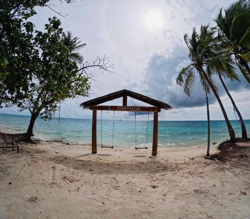 The Turtle Hive Maldives Velaavani Dhiffushi - Genel