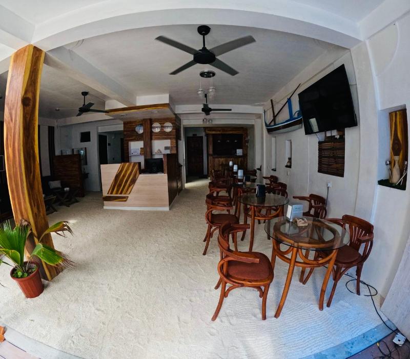 The Turtle Hive Maldives Velaavani Dhiffushi - Genel