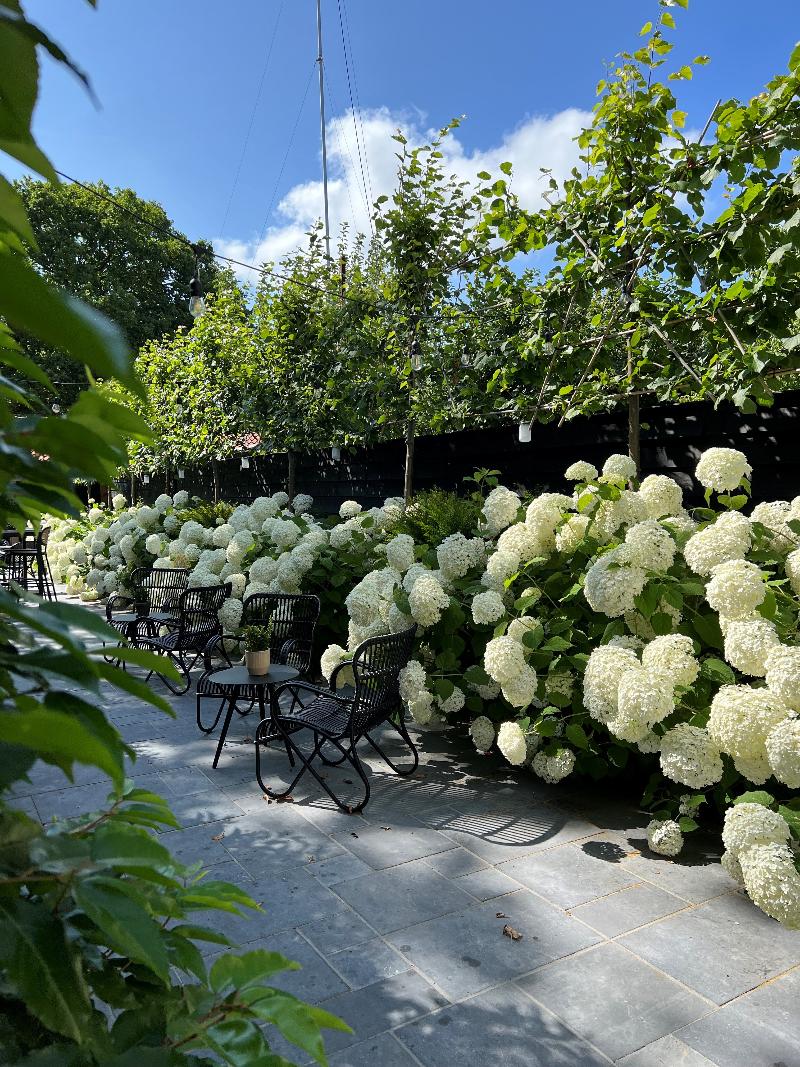 Poorter Boutique Hotel - Teras