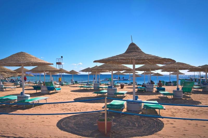 Domina Coral Bay Harem - Genel