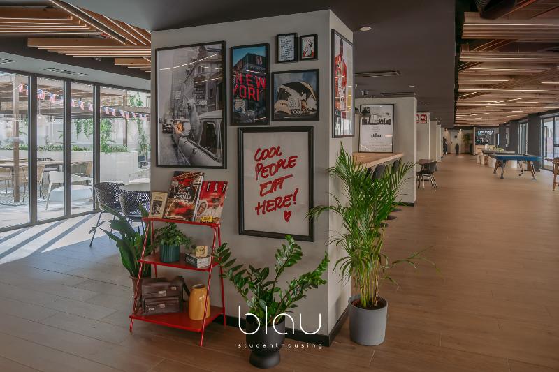 Blau Student Housing - Genel