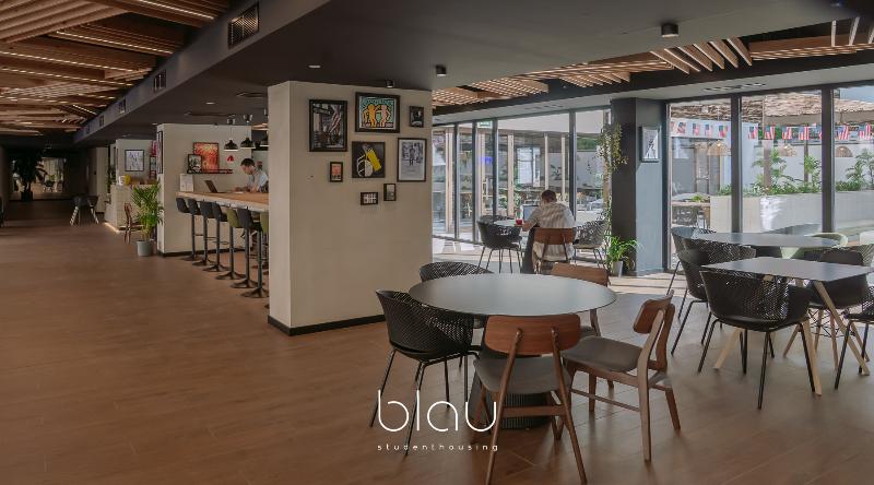 Blau Student Housing - Genel