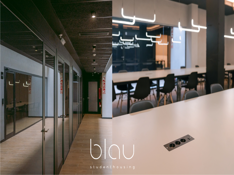 Blau Student Housing - Oda