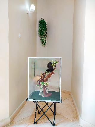 Ndalem Singgah Maliobor By Abiza fotoÄŸrafÄ±