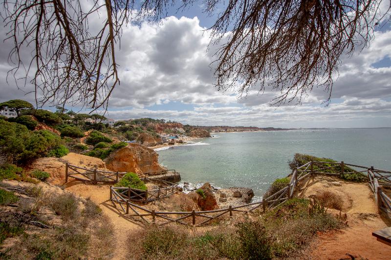 Masana Algarve - Genel