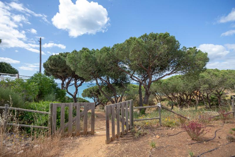 Masana Algarve - Genel