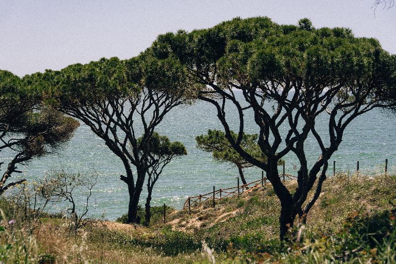 Masana Algarve - Plaj