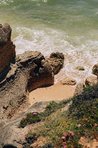 Masana Algarve fotoÄŸrafÄ±