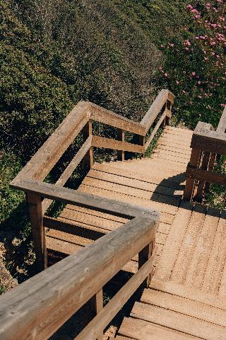 Masana Algarve fotoÄŸrafÄ±