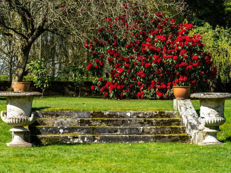 Rudby Hall - Oda