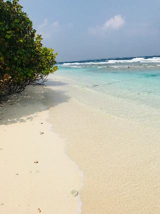 Bon Abri Maldives fotoÄŸrafÄ±