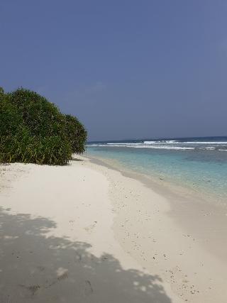 Bon Abri Maldives fotoÄŸrafÄ±