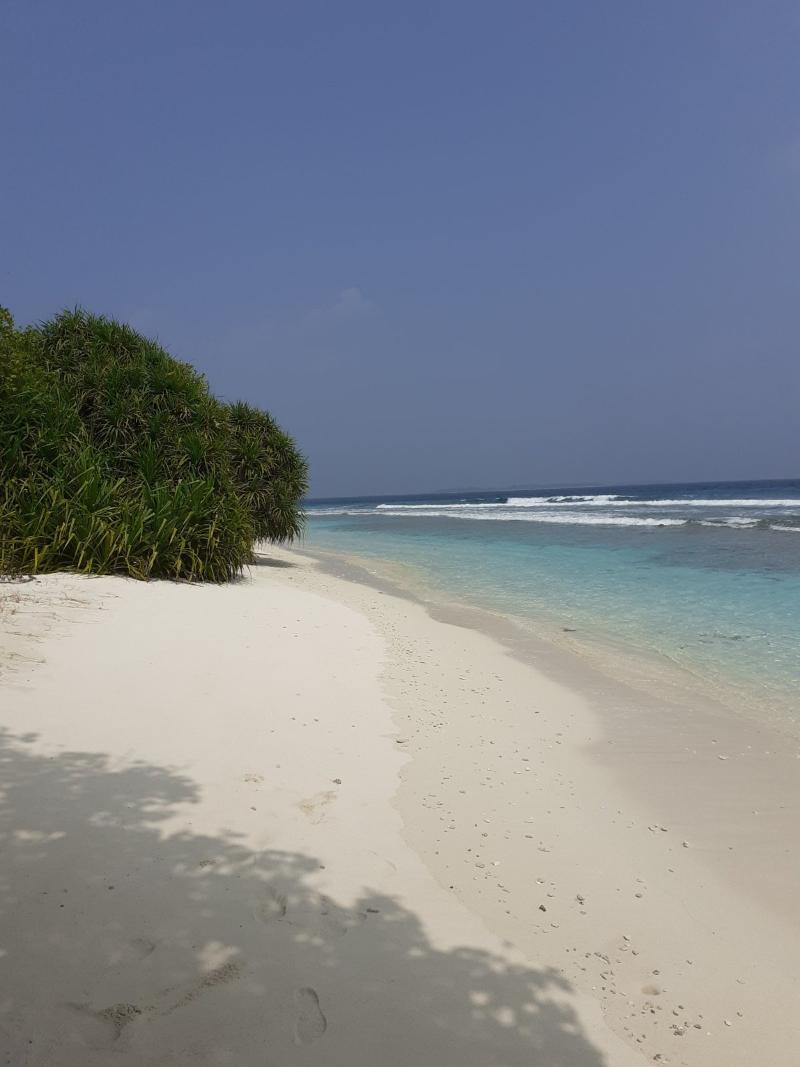 Bon Abri Maldives - Plaj