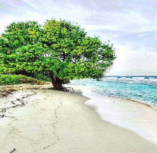 Bon Abri Maldives fotoÄŸrafÄ±