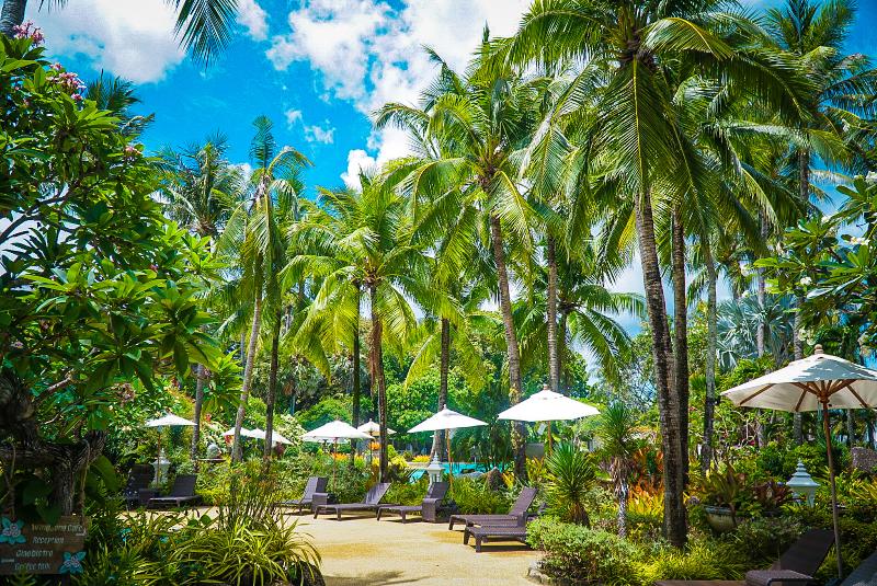 Thavorn Palm Beach Resort - Genel